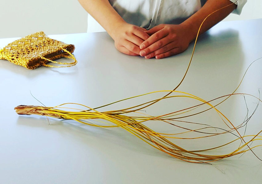 Golden pīngao strands laid out on a white table, with a partially woven pīngao pouch visible in the background and a person's hands resting nearby.